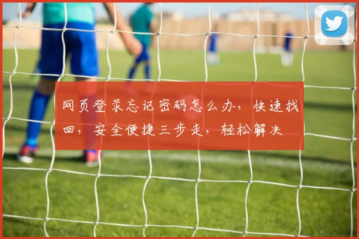 网页登录忘记密码怎么办，快速找回，安全便捷三步走，轻松解决