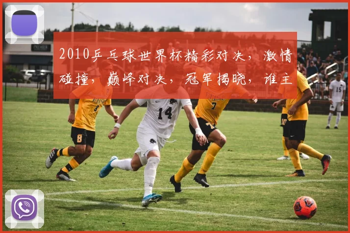 2010乒乓球世界杯精彩对决，激情碰撞，巅峰对决，冠军揭晓，谁主沉浮