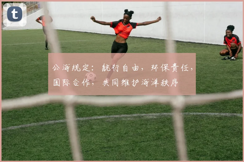 公海规定：航行自由，环保责任，国际合作，共同维护海洋秩序