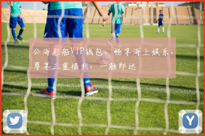 公海彩船VIP钱包，畅享海上娱乐，尊享三重福利，一触即达