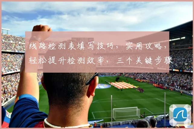 线路检测表填写技巧，实用攻略，轻松提升检测效率，三个关键步骤，不容错过